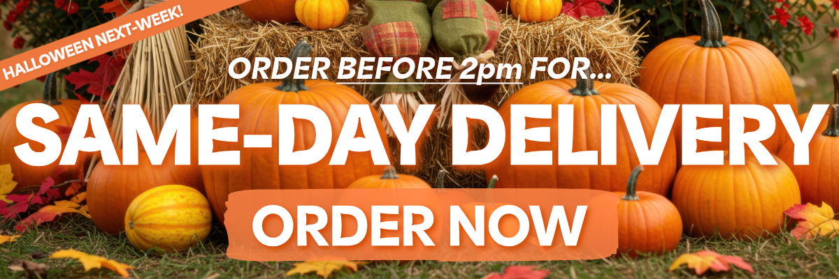 (web&email) Summer 2025-2-NCF Halloween 102025